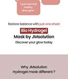 Bio Mask Set - 2 Types - Multi Hya Waterfull