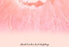 Cheerflor Moisturizing Mirror Lip Gloss - 6 Colors - CFR942 Grape Ice Brew - 3.5g