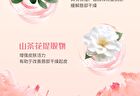 Cheerflor Moisturizing Mirror Lip Gloss - 6 Colors - CFR942 Grape Ice Brew - 3.5g