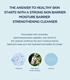 SKIN1004 Madagascar Centella Hyalu-Cica Gentle Cleansing Milk - 200ml