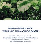 SKIN1004 Madagascar Centella Hyalu-Cica Gentle Cleansing Milk - 200ml
