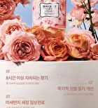 Bouquet Garni Hair & Body Travel Kit White Musk - 100ml x 4 pcs