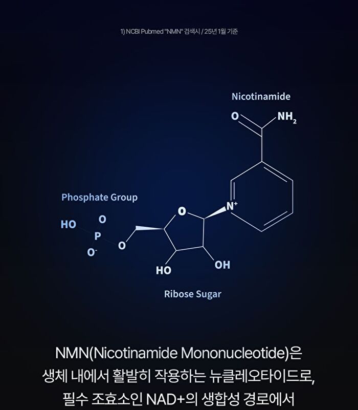 Premium NMN - 550mg x 60 tablets