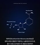Premium NMN - 550mg x 60 tablets