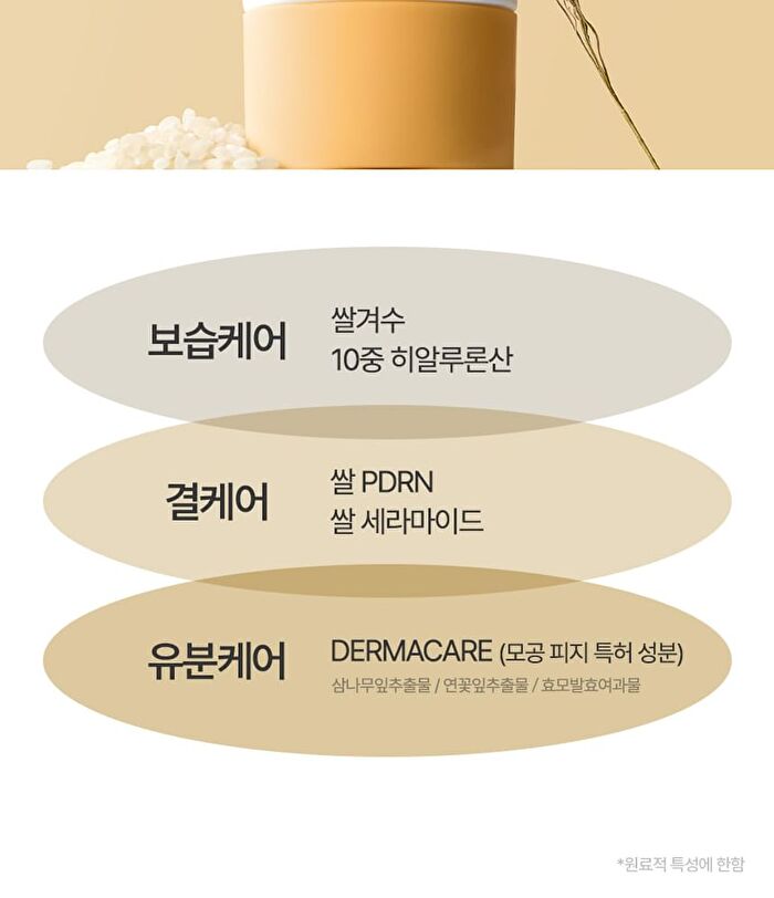 Fully Rice Ceramide Moisture Sun Cream - 50ml