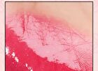 Ink Mood Glowy Tint Princess Hours Collaboration - 3 Colors - #38 Plum Princess