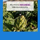 Foodology Mediterranean Artichoke - 10 packets