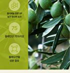 Foodology Mediterranean Olive Oil - 30 packets