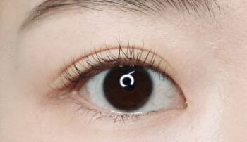 Merzy Perfect Curl Eyelash Curler - 1 pc