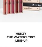 Merzy The Watery Blur Tint - 5 Colors - #WB4 Burnt Scenery