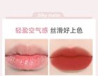 Matte Dewy Dual-Effect Lip Gloss - 6 Colors - 296# Addictive Red (1.4g & 1.3g)