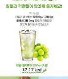 Daily Kombucha - 15 Types - Watermelon