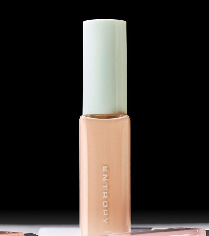 Entropy Organza Fit Spatula Foundation - 4 Colors - #25.3