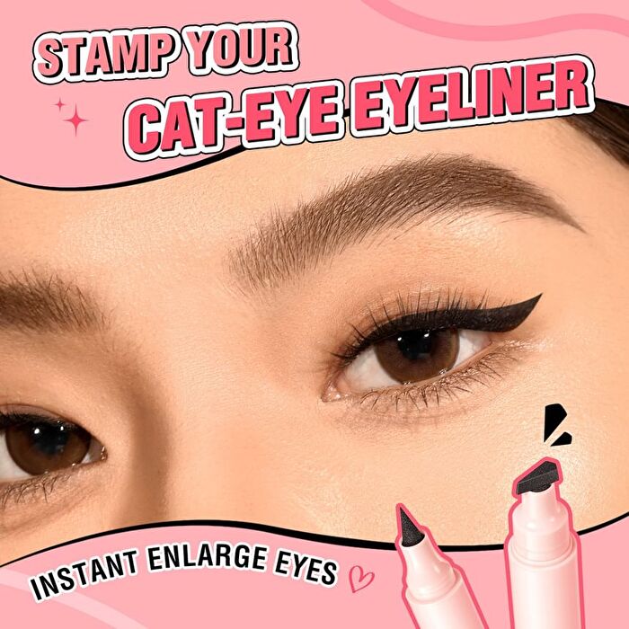 Pinkflash Long-Wear Liquid Eyeliner - #Black - 2g