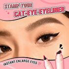 Pinkflash Long-Wear Liquid Eyeliner - #Black - 2g