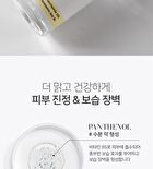 Signature Niacinamide 15% Ampoule - 30ml