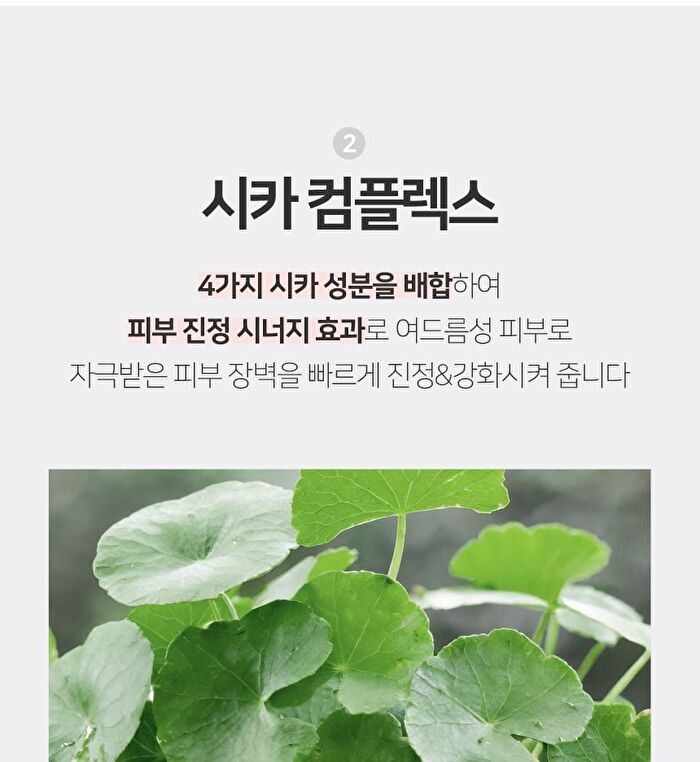 AC+ Teatree Acne Cleansing Foam - 150ml