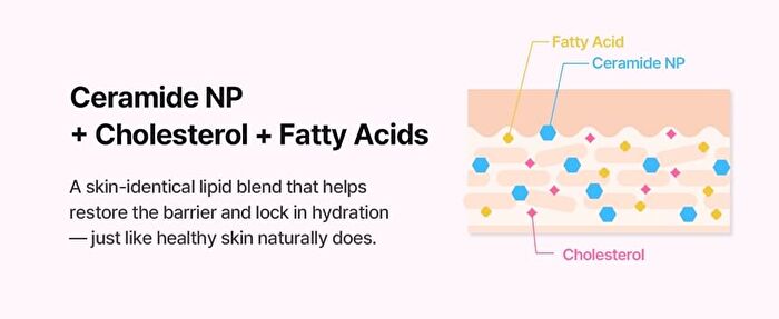 Soonding Coconut Hydro Barrier Cream - 80ml