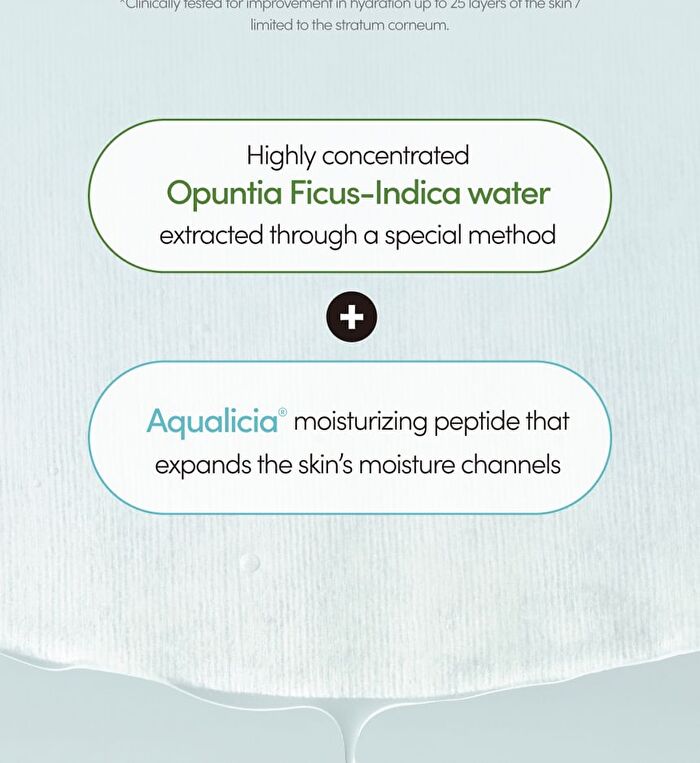 Lagom Aqua Cactus Mask Pack Set - 27ml x 5 sheets