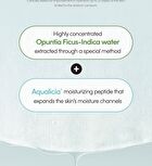 Lagom Aqua Cactus Mask Pack Set - 27ml x 5 sheets