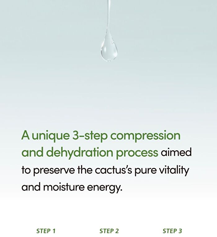 Lagom Aqua Cactus Mask Pack Set - 27ml x 5 sheets