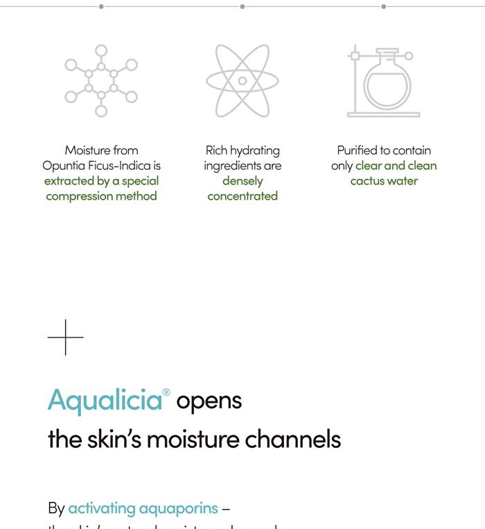 Lagom Aqua Cactus Mask Pack Set - 27ml x 5 sheets