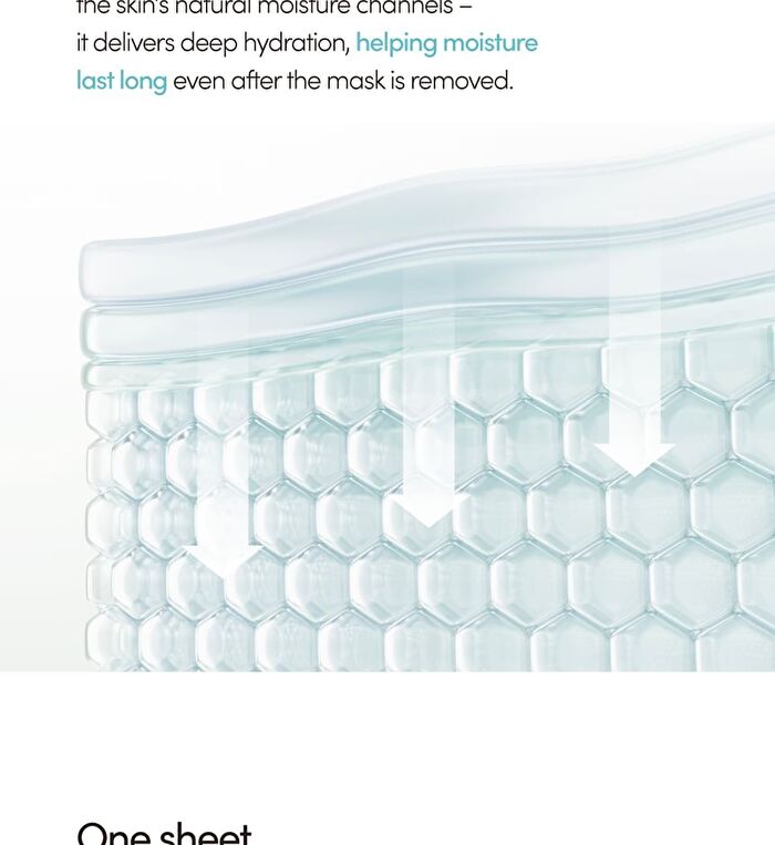 Lagom Aqua Cactus Mask Pack Set - 27ml x 5 sheets