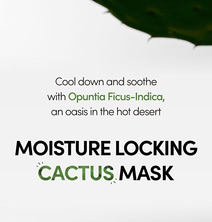 Lagom Aqua Cactus Mask Pack Set - 27ml x 5 sheets