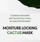 Lagom Aqua Cactus Mask Pack Set - 27ml x 5 sheets