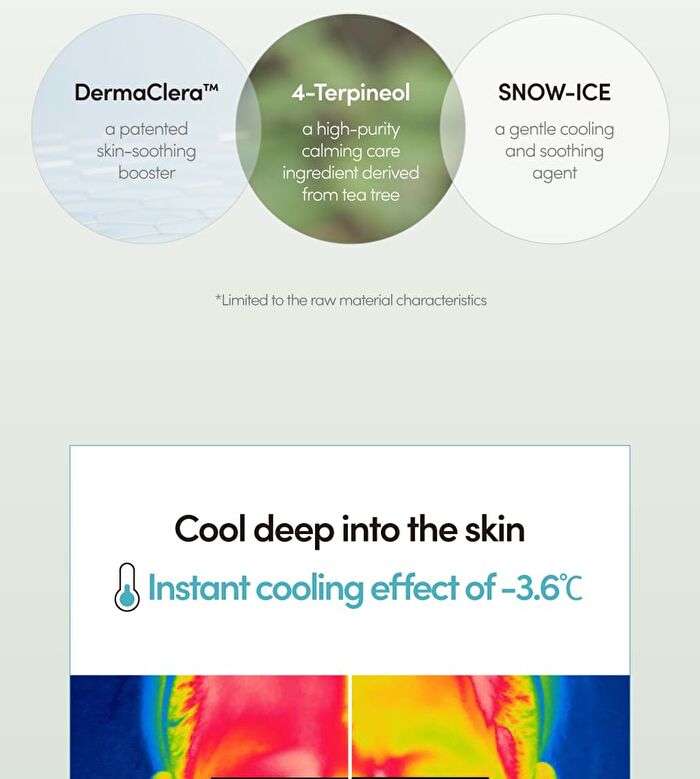 Lagom Aqua Cactus Mask Pack Set - 27ml x 5 sheets