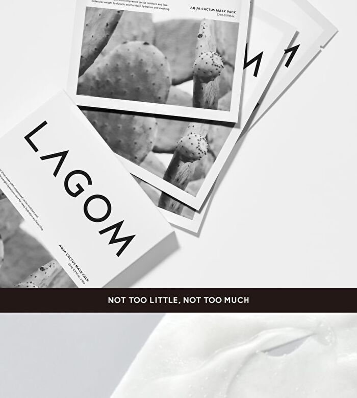 Lagom Aqua Cactus Mask Pack Set - 27ml x 5 sheets