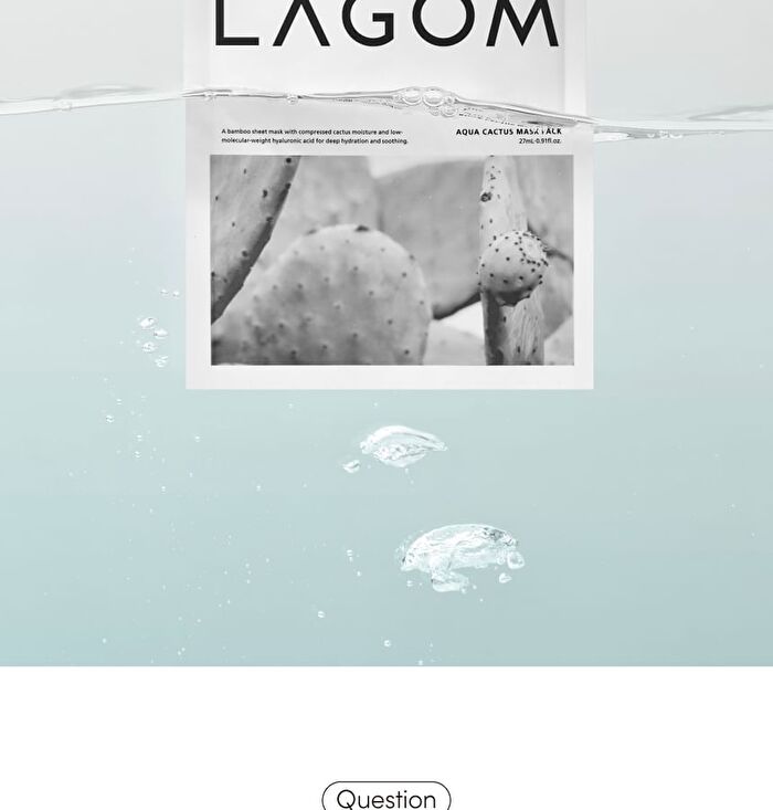 Lagom Aqua Cactus Mask Pack Set - 27ml x 5 sheets