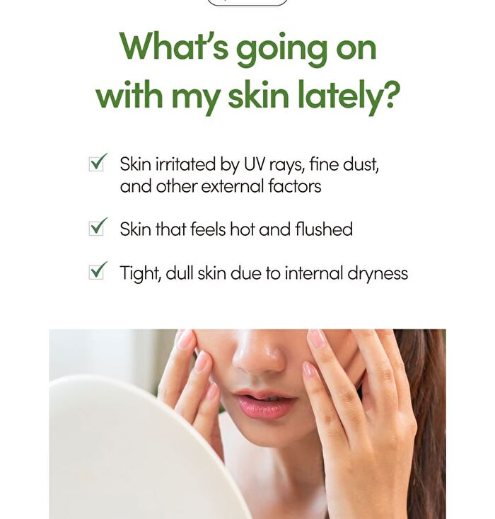 Lagom Aqua Cactus Mask Pack Set - 27ml x 5 sheets