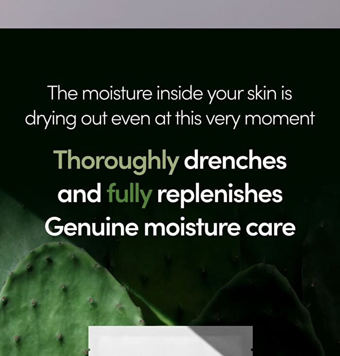 Lagom Aqua Cactus Mask Pack Set - 27ml x 5 sheets