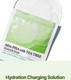 SKIN627 AHA PHA With Tea Tree Toner Pad - 10 pads