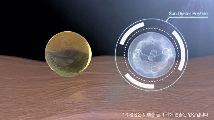 Oyster Peptide Cream - 2025 Version - 50ml