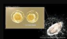 Oyster Peptide Cream - 2025 Version - 50ml