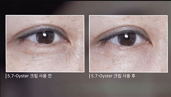 Oyster Peptide Cream - 2025 Version - 50ml