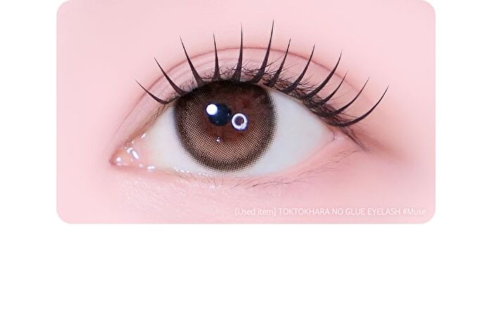 Toktok-Hara No Glue Eyelash - 10 Types - #10 Hush