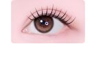 Toktok-Hara No Glue Eyelash - 10 Types - #10 Hush