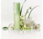Little Dream Garden Scented Roll On Dew 2.0 - 3 Flavors - #Weightless Rose - 20g