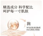 Little Dream Garden Mosturizing Hand Cream - 3 Flavors - #Warm Spring Sakura - 75g