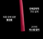 Premium Toothbrush Set - 21 pcs