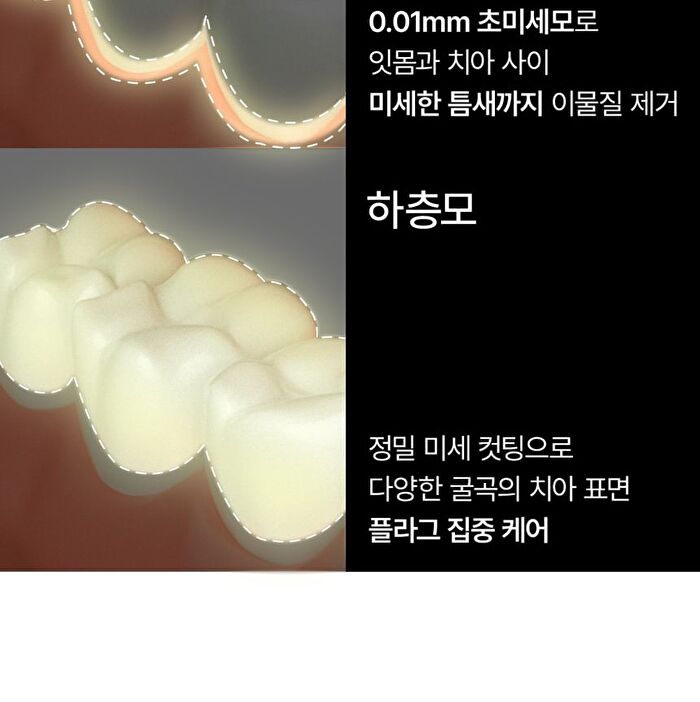 Premium Toothbrush Set - 21 pcs