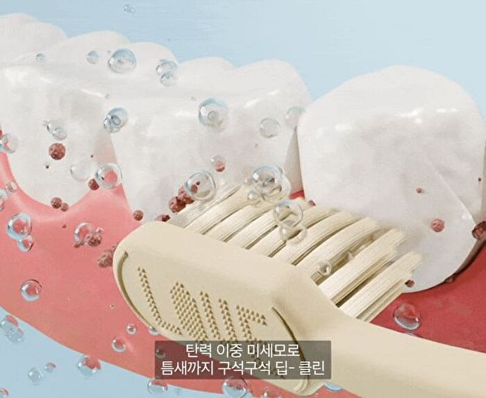 Premium Toothbrush Set - 21 pcs