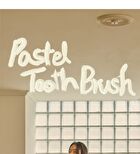 Premium Toothbrush Set - 21 pcs