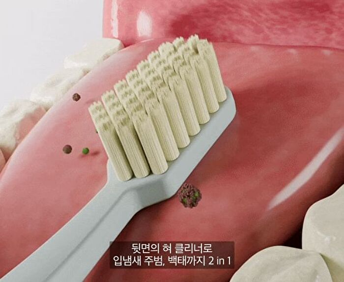 Premium Toothbrush Set - 21 pcs
