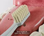 Premium Toothbrush Set - 21 pcs