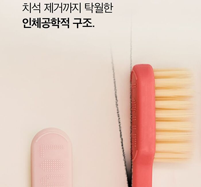 Premium Toothbrush Set - 21 pcs