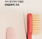 Premium Toothbrush Set - 21 pcs